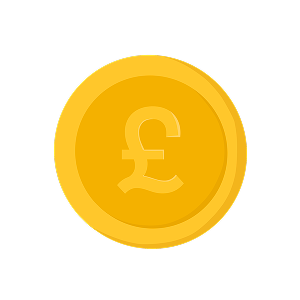 Gold Money Coin